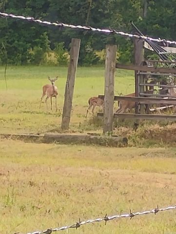 5665 N Hwy 53, Arkadelphia, AR 71923