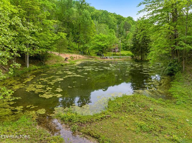Tract 7 Sandy Valley Rd, Rogersville, TN 37857