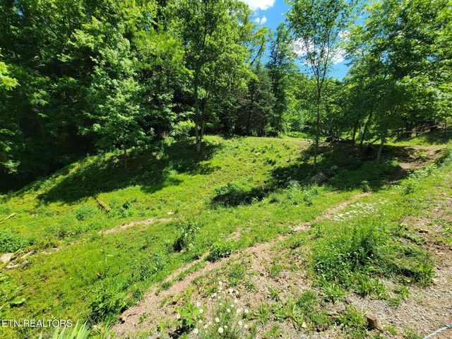 Tract 7 Sandy Valley Rd, Rogersville, TN 37857