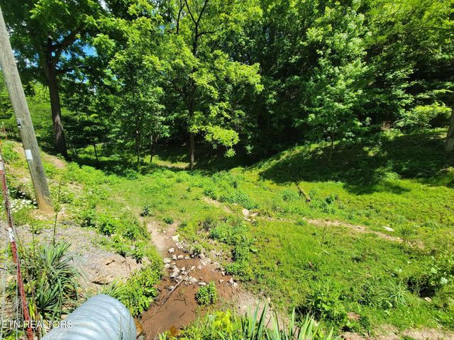 Tract 7 Sandy Valley Rd, Rogersville, TN 37857