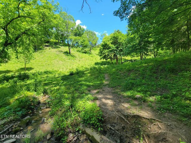 Tract 7 Sandy Valley Rd, Rogersville, TN 37857