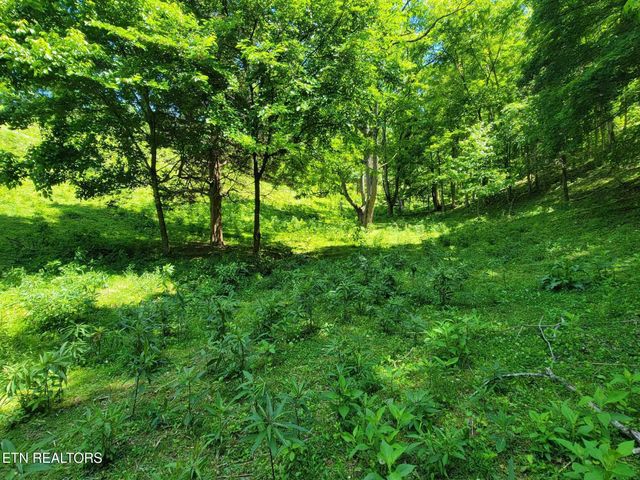 Tract 7 Sandy Valley Rd, Rogersville, TN 37857