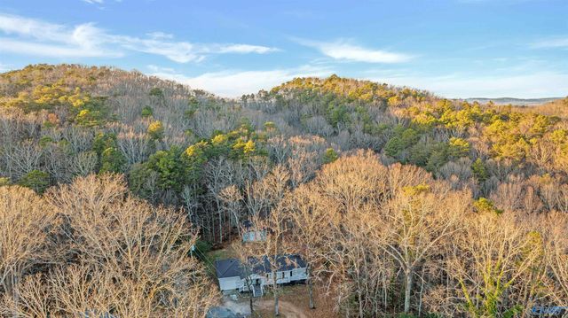 411 15th Street SW, Fort Payne, AL 35967