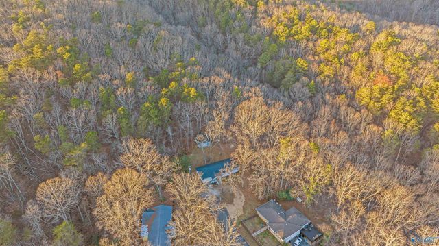 411 15th Street SW, Fort Payne, AL 35967