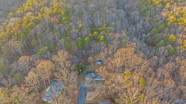 411 15th Street SW, Fort Payne, AL 35967