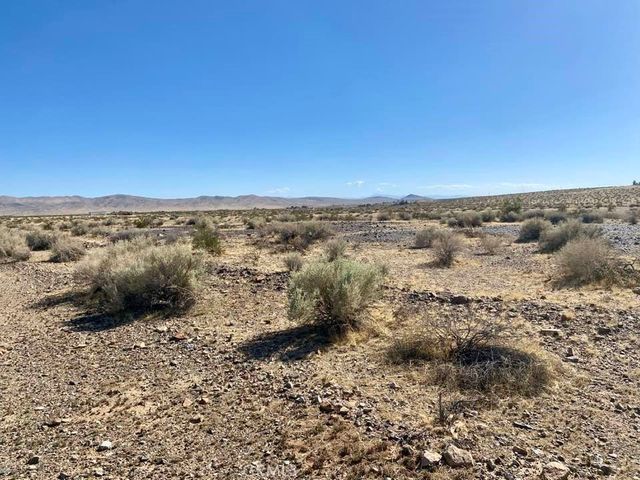 0 -Wrangler Road, Helendale, CA 92342