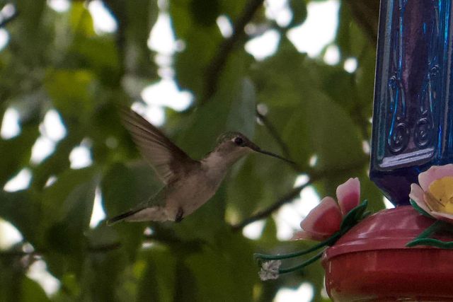 3042 Johnny Court, Augusta, GA 30906