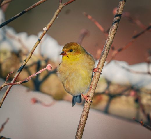 3042 Johnny Court, Augusta, GA 30906