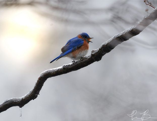 3042 Johnny Court, Augusta, GA 30906