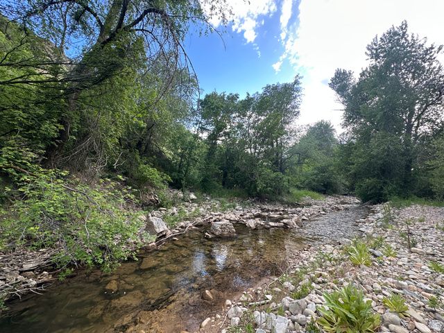 1141 S OAK LEAF, Springville, UT 84663