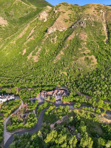 1141 S OAK LEAF, Springville, UT 84663