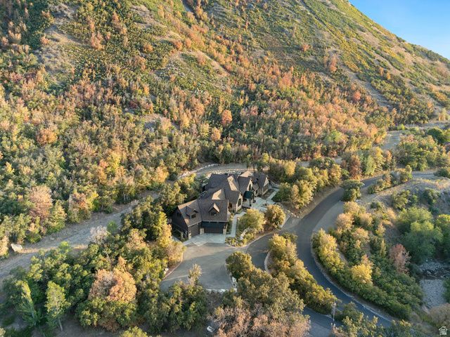 1141 S OAK LEAF, Springville, UT 84663