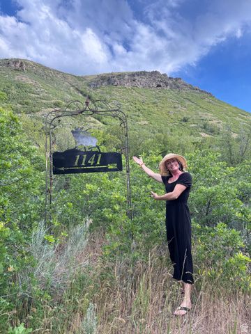 1141 S OAK LEAF, Springville, UT 84663