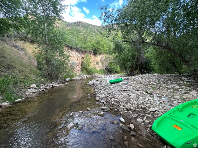 1141 S OAK LEAF, Springville, UT 84663