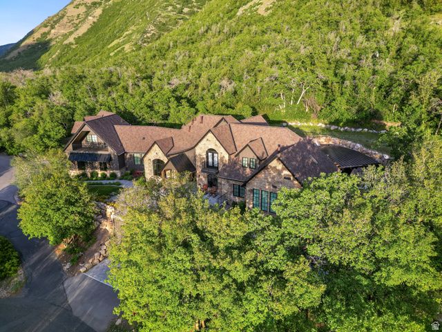 1141 S OAK LEAF, Springville, UT 84663