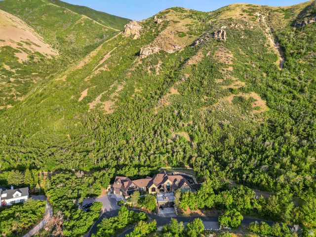 1141 S OAK LEAF, Springville, UT 84663