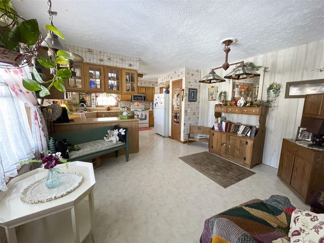 13631 Bemis Road, Manchester, MI 48158