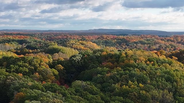 4290 Johnson Road, Frankfort, MI 49635