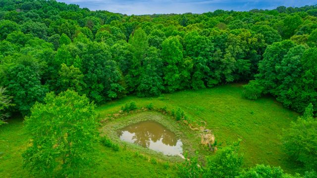 10005 Runyan Hills Lane, Ooltewah, TN 37363