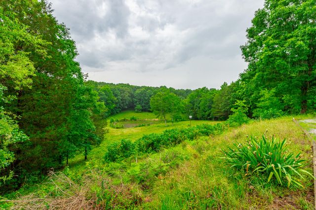 10005 Runyan Hills Lane, Ooltewah, TN 37363