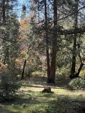 17537 Black Oak Way, Brownsville, CA 95919