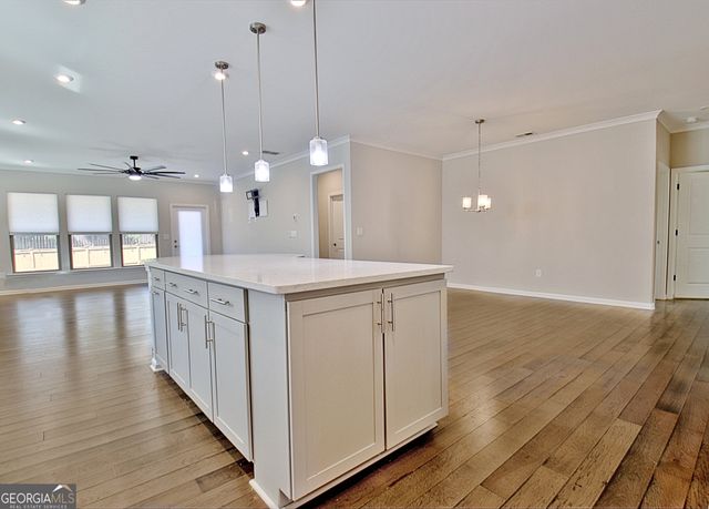 339 Elkins Place, Peachtree City, GA 30269