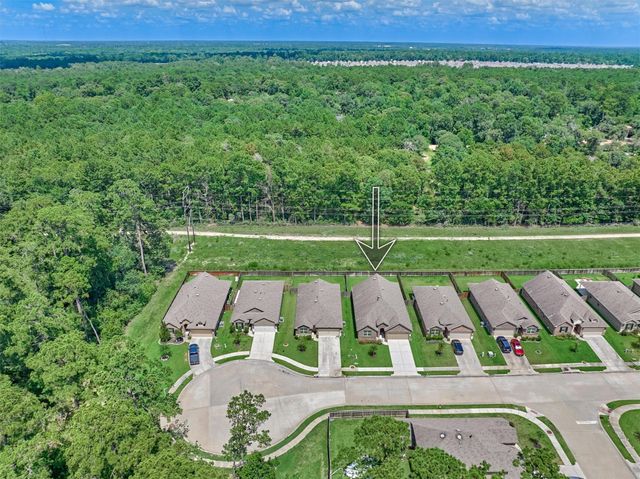 14114 Silver Falls Court, Conroe, TX 77384