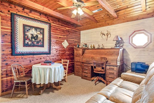 10646 Mounts Road, Irondale, MO 63648