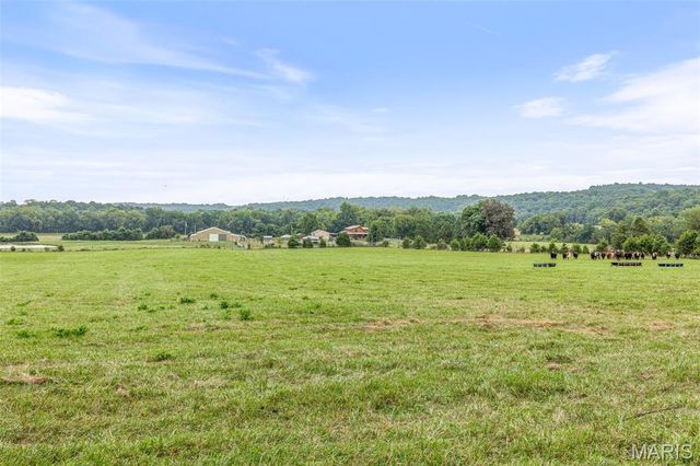 10646 Mounts Road, Irondale, MO 63648