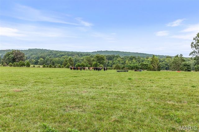 10646 Mounts Road, Irondale, MO 63648