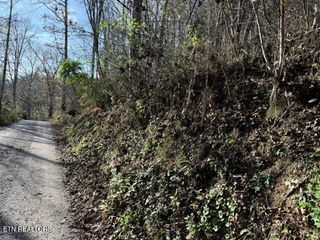 1550 Chapel Hollow Rd, Del Rio, TN 37727