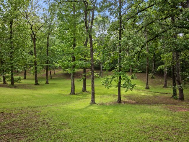 65 CR 2835, Pittsburg, TX 75686