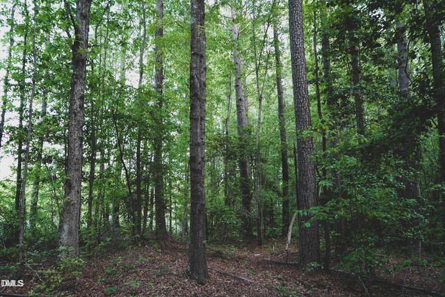 Lot 4 Arthur Wilder Road, Spring Hope, NC 27882