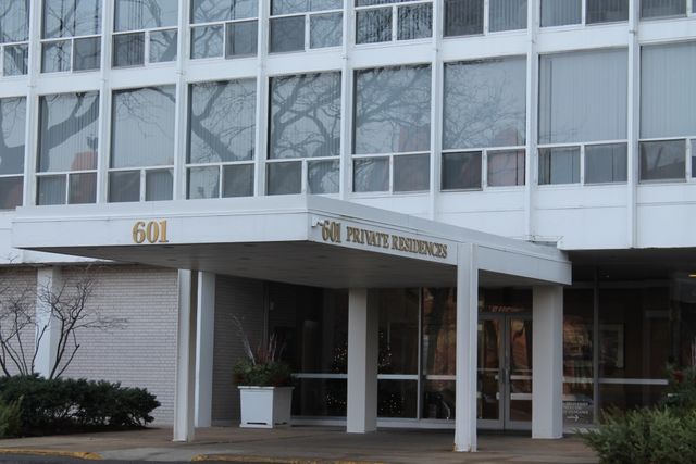 601 E 32nd Street 203, Chicago, IL 60616