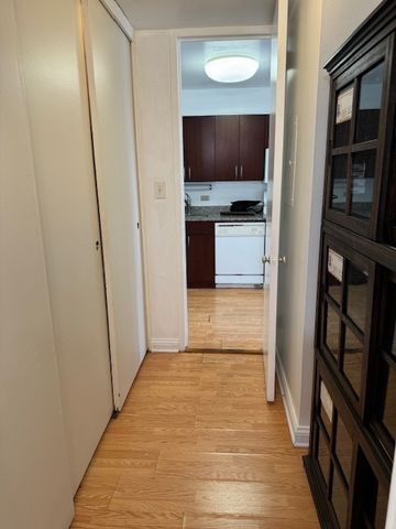 601 E 32nd Street 203, Chicago, IL 60616