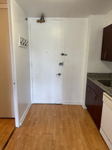 601 E 32nd Street 203, Chicago, IL 60616
