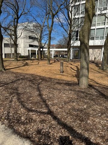 601 E 32nd Street 203, Chicago, IL 60616
