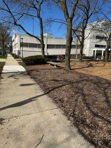 601 E 32nd Street 203, Chicago, IL 60616