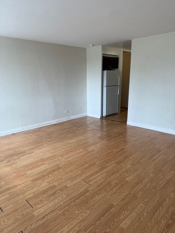601 E 32nd Street 203, Chicago, IL 60616