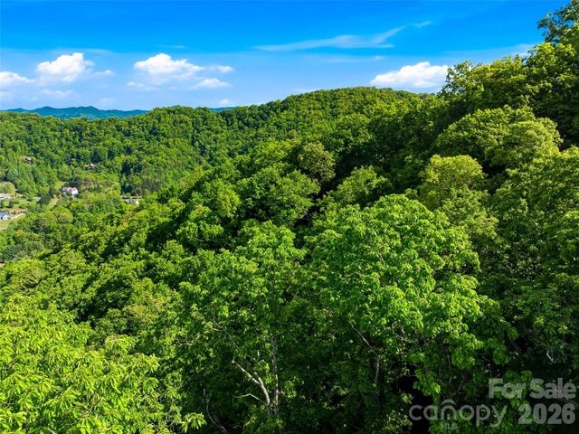 948 Cove Creek Lane, Mars Hill, NC 28754
