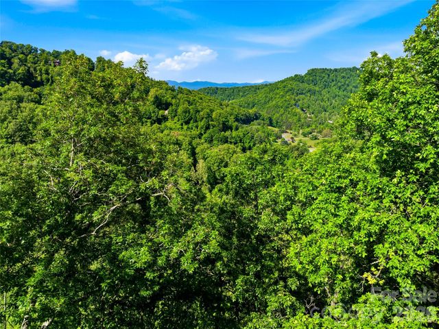 948 Cove Creek Lane, Mars Hill, NC 28754