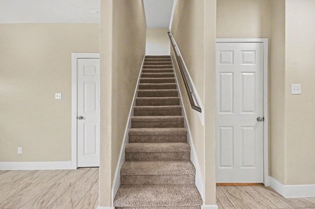 1322 Diamond Drape Drive, Rosharon, TX 77583