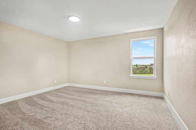 1322 Diamond Drape Drive, Rosharon, TX 77583
