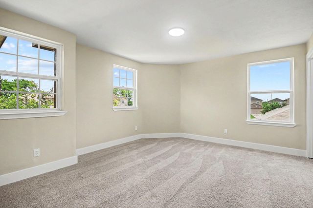 1322 Diamond Drape Drive, Rosharon, TX 77583