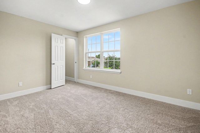 1322 Diamond Drape Drive, Rosharon, TX 77583