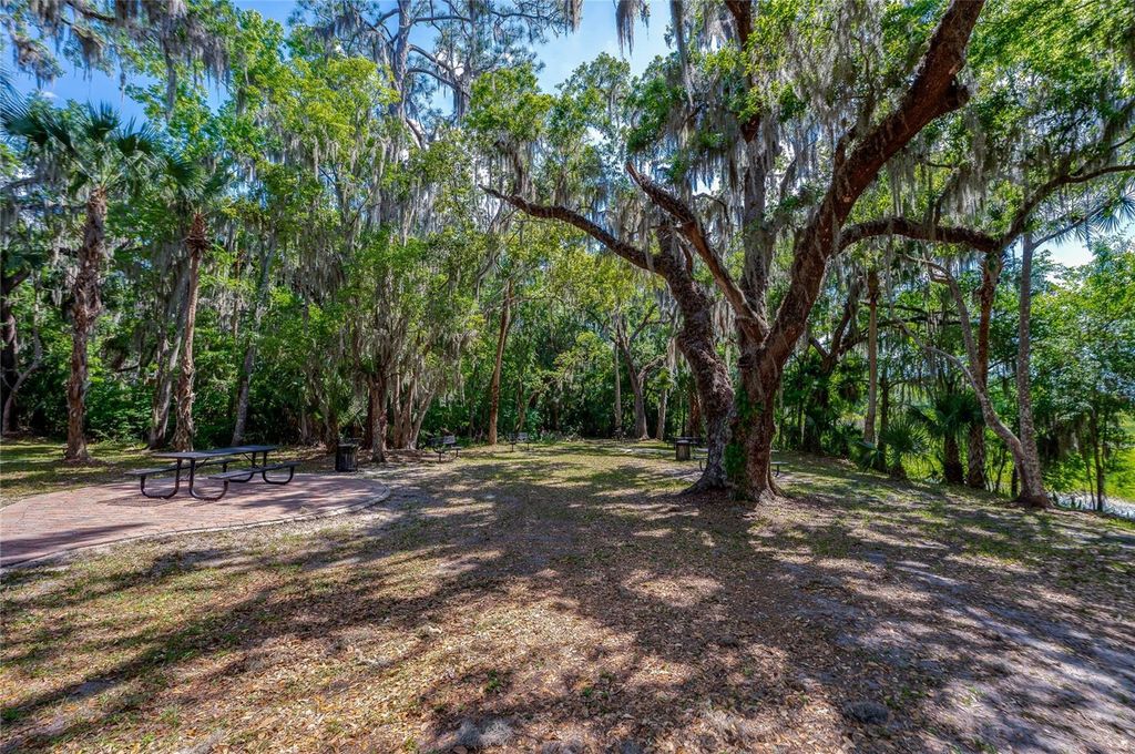 Image 58 of property listing at 135 ANCONA AVENUE, Debary, FL 32713