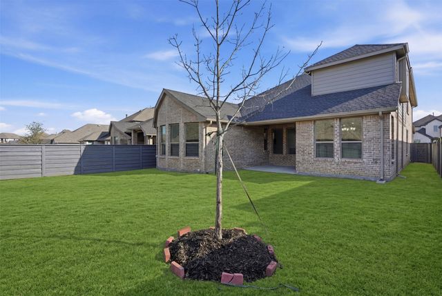 537 Oakmoss Street, Little Elm, TX 76227