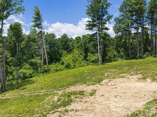 620 Dancing Bear Drive 195, Hendersonville, NC 28792
