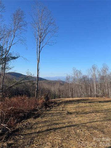 620 Dancing Bear Drive 195, Hendersonville, NC 28792