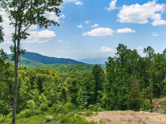 620 Dancing Bear Drive 195, Hendersonville, NC 28792